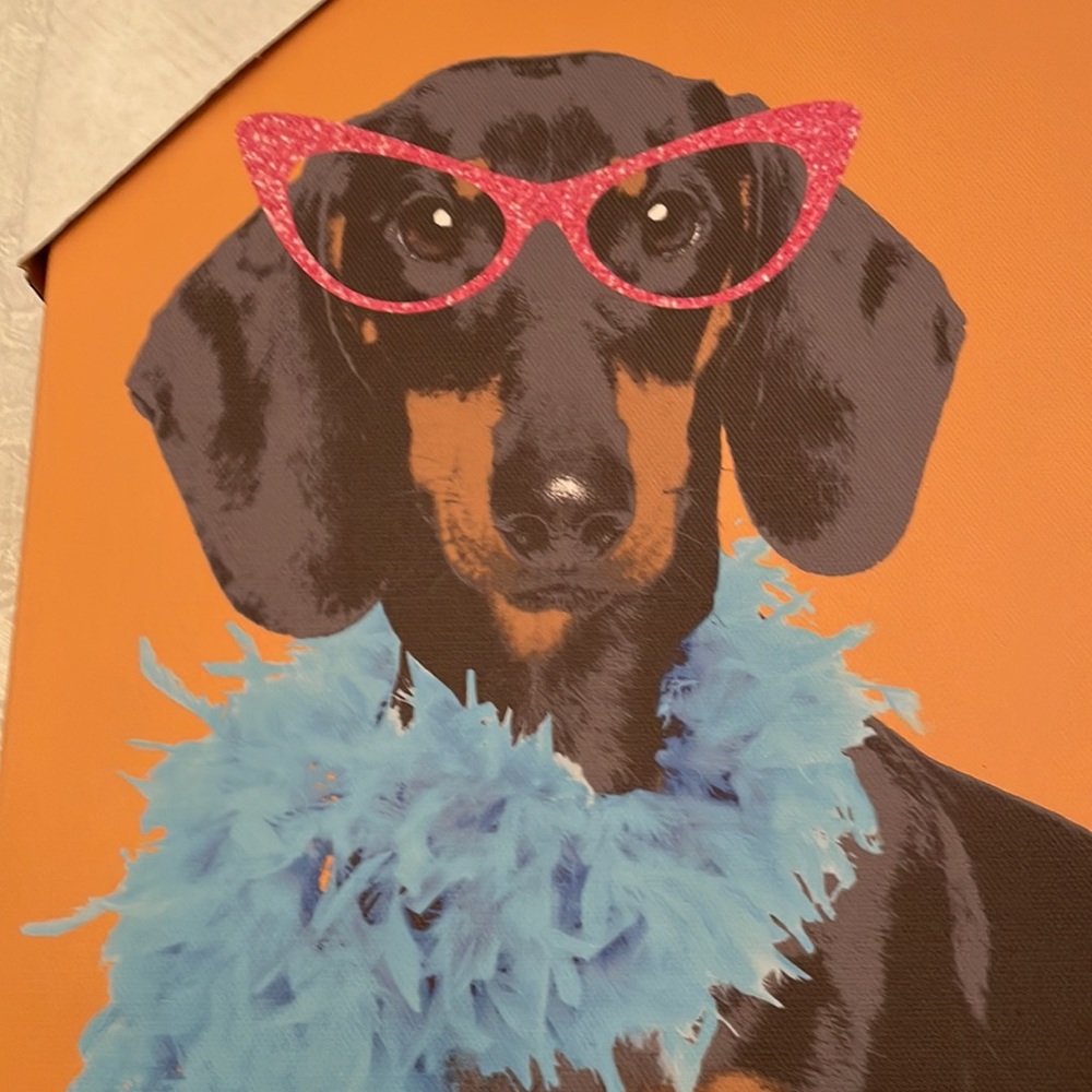 Glamour Doxy canvas print by Doug Hernandez - Picture 8 of 10